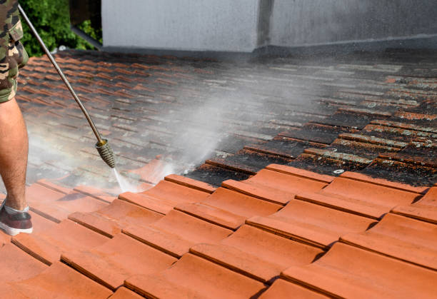 Best House Pressure Washing  in Tuscola, IL