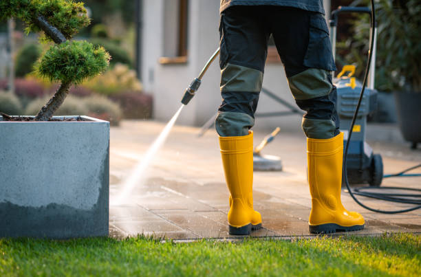 Best Roof Power Washing Services  in Tuscola, IL